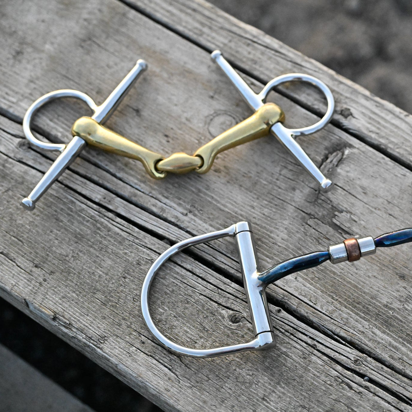 Tongue Relief Vs Bar Relief in Bits: What's the Difference and Why it Matters