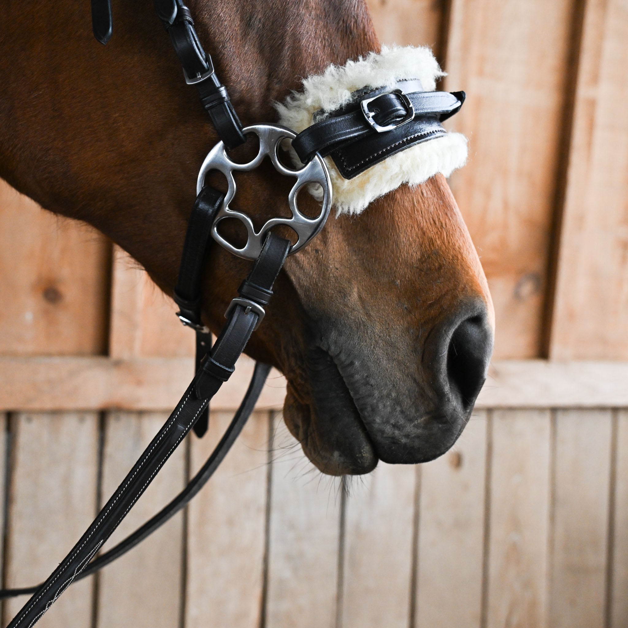 Wheel Hackamore (Hardware Only)