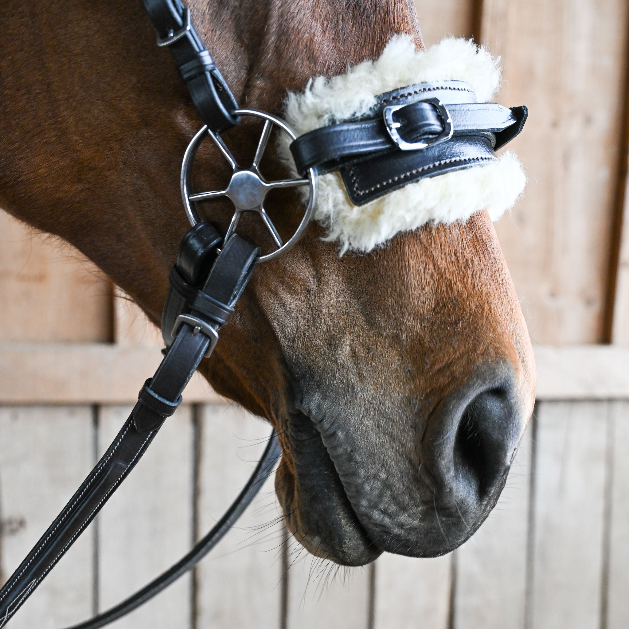 Baby Wheel Hackamore (Hardware Only)