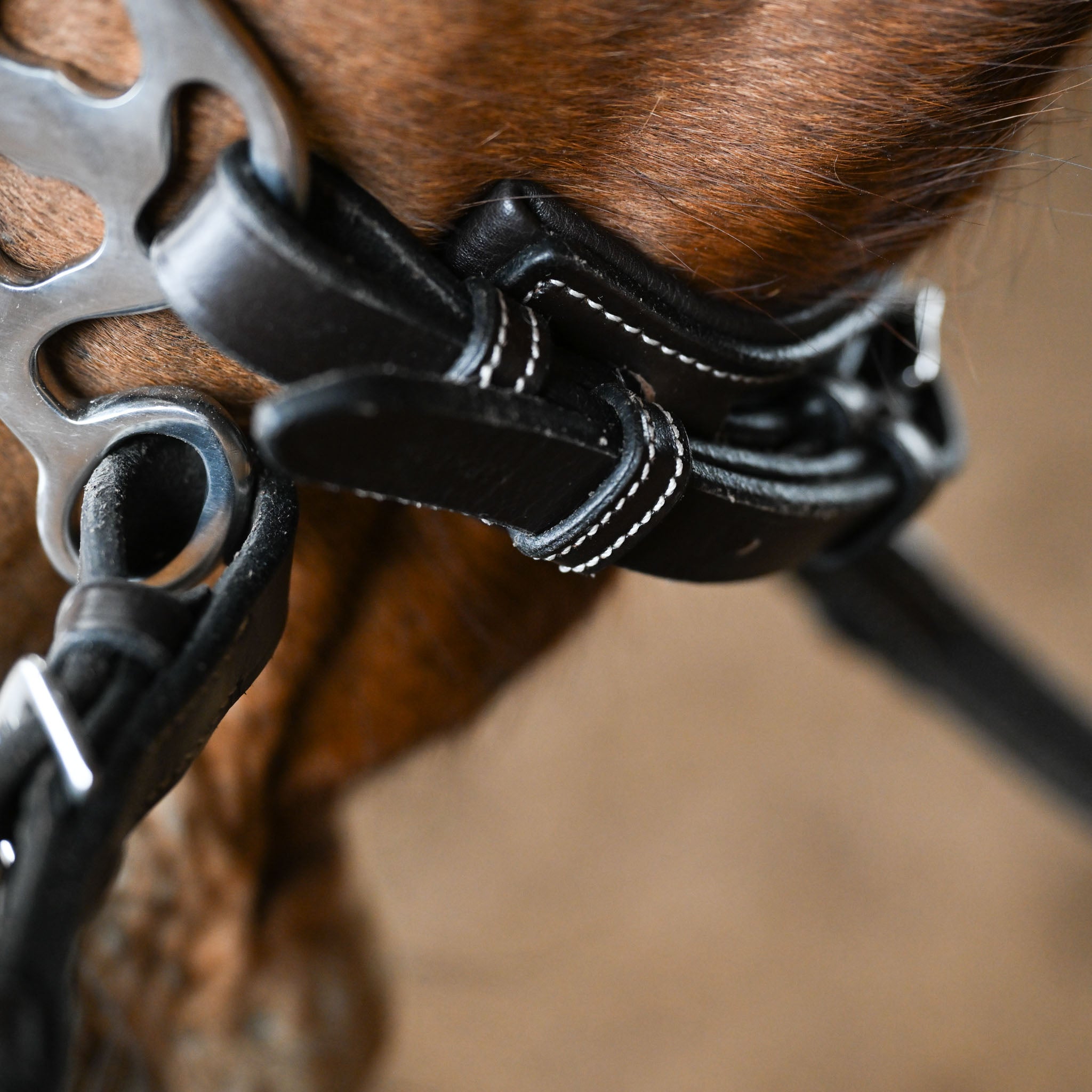 Hackamore Leathers - Fancy Stitch