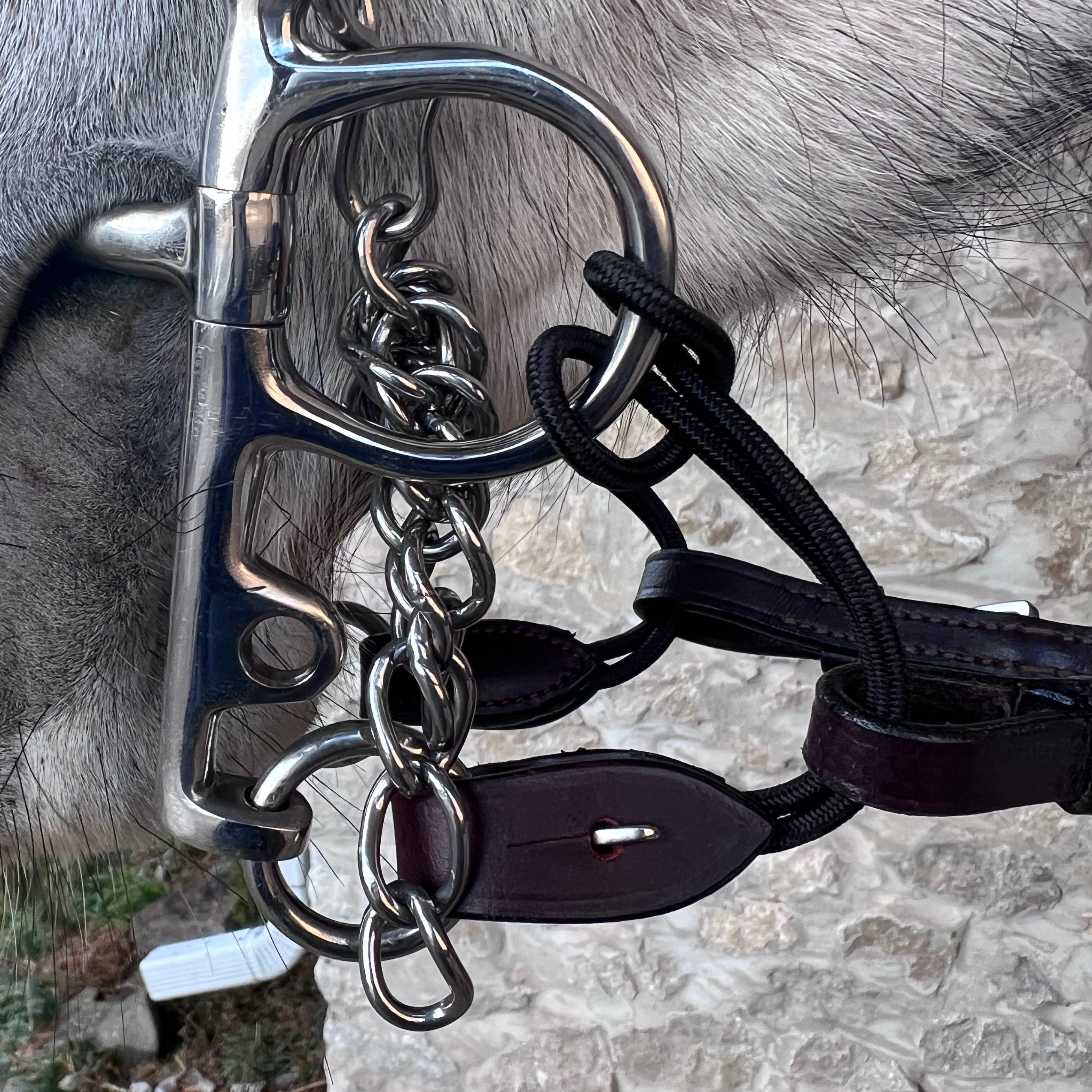 Two-Rein Converter