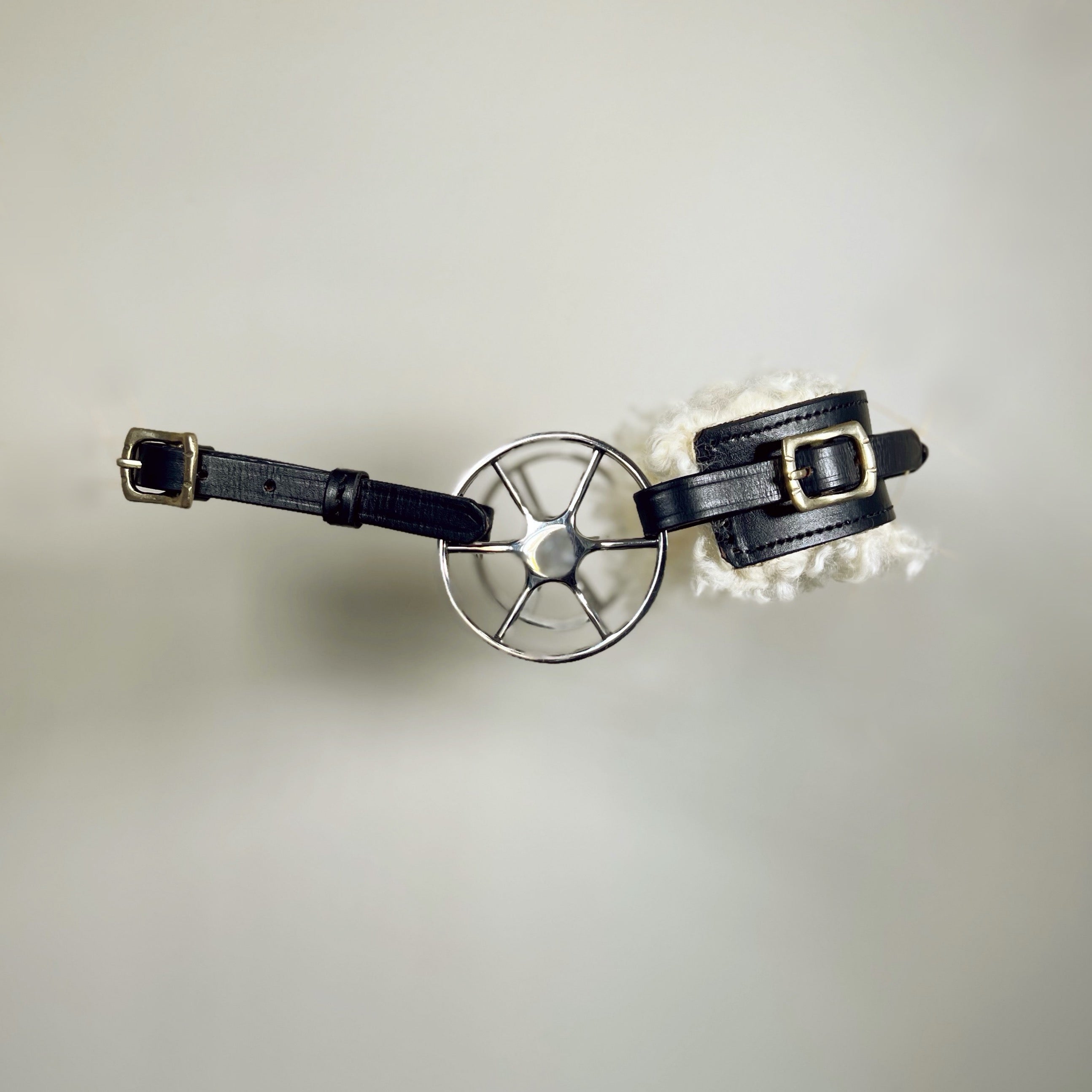 Baby Wheel Hackamore