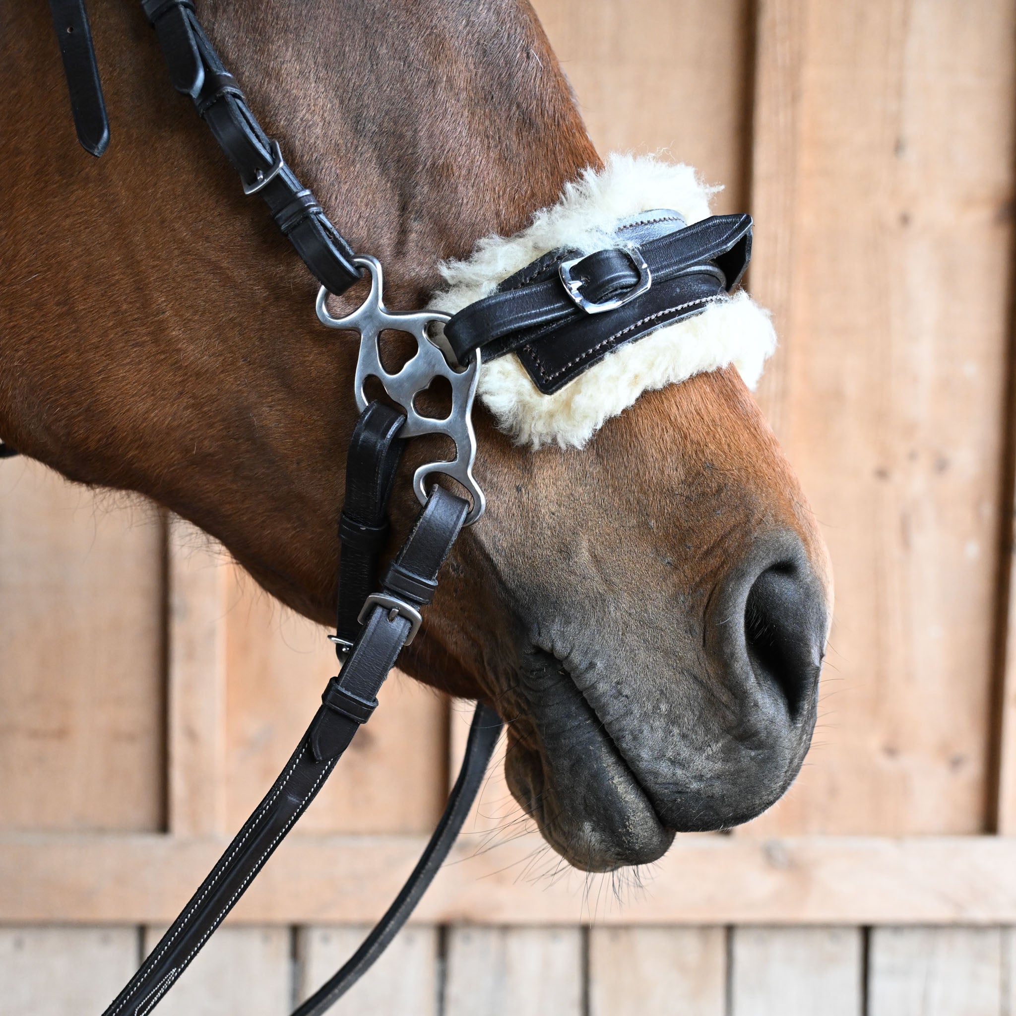 Baby Hackamore (Hardware Only) (Demo Condition)