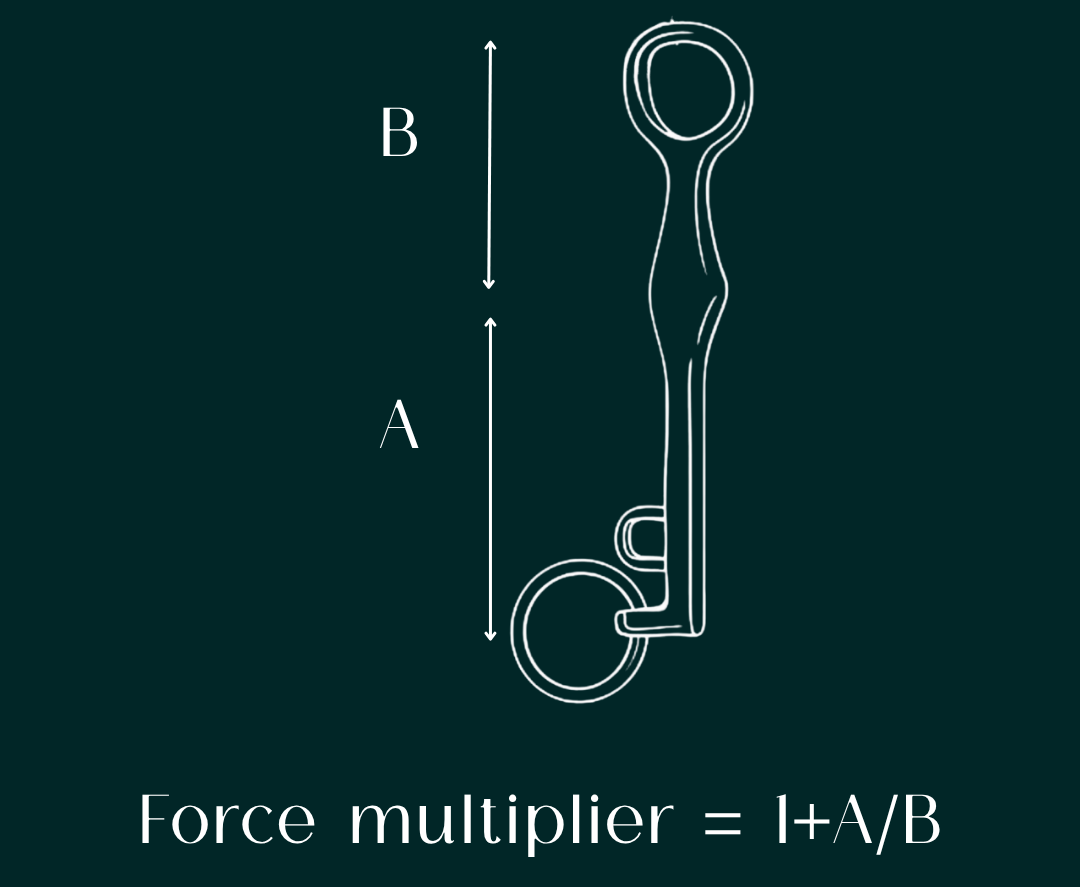 Diagram of a double bridle Weymouth force multiplier tool with labeled parts on a dark green background