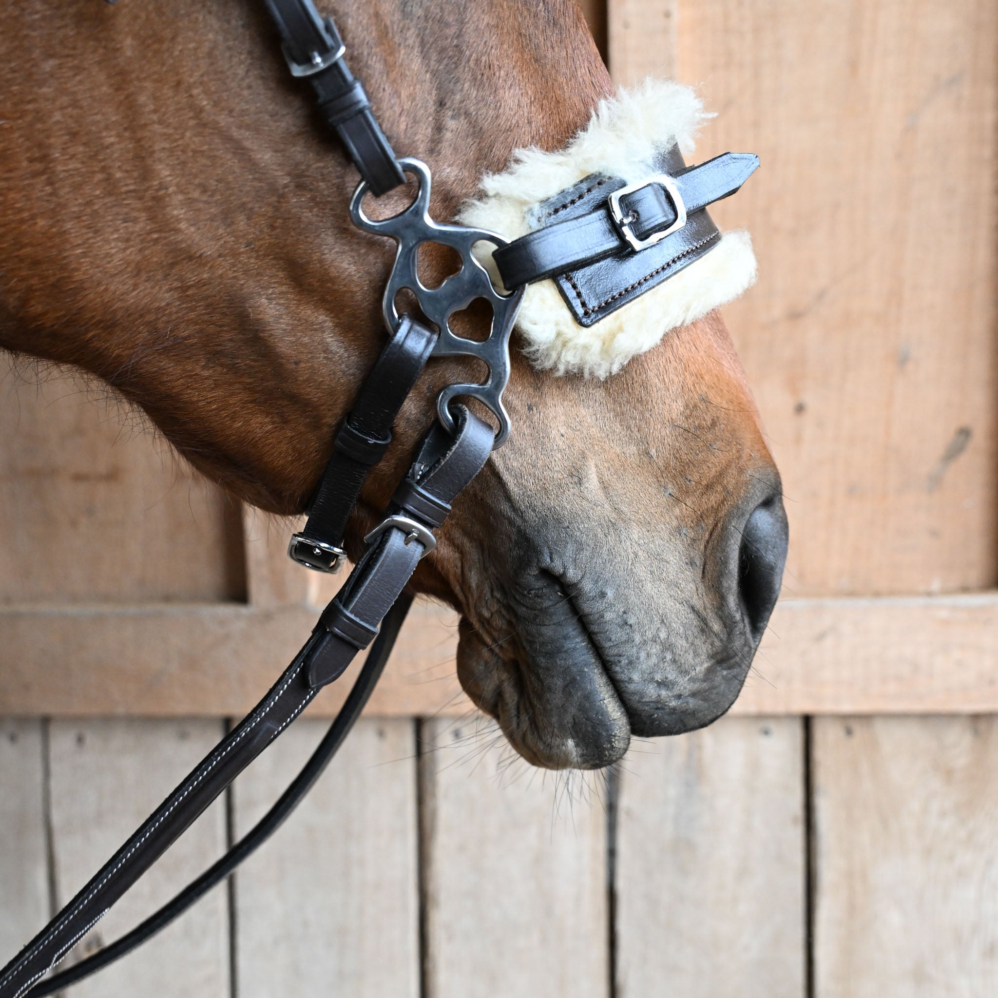 Baby Hackamore (Hardware Only)