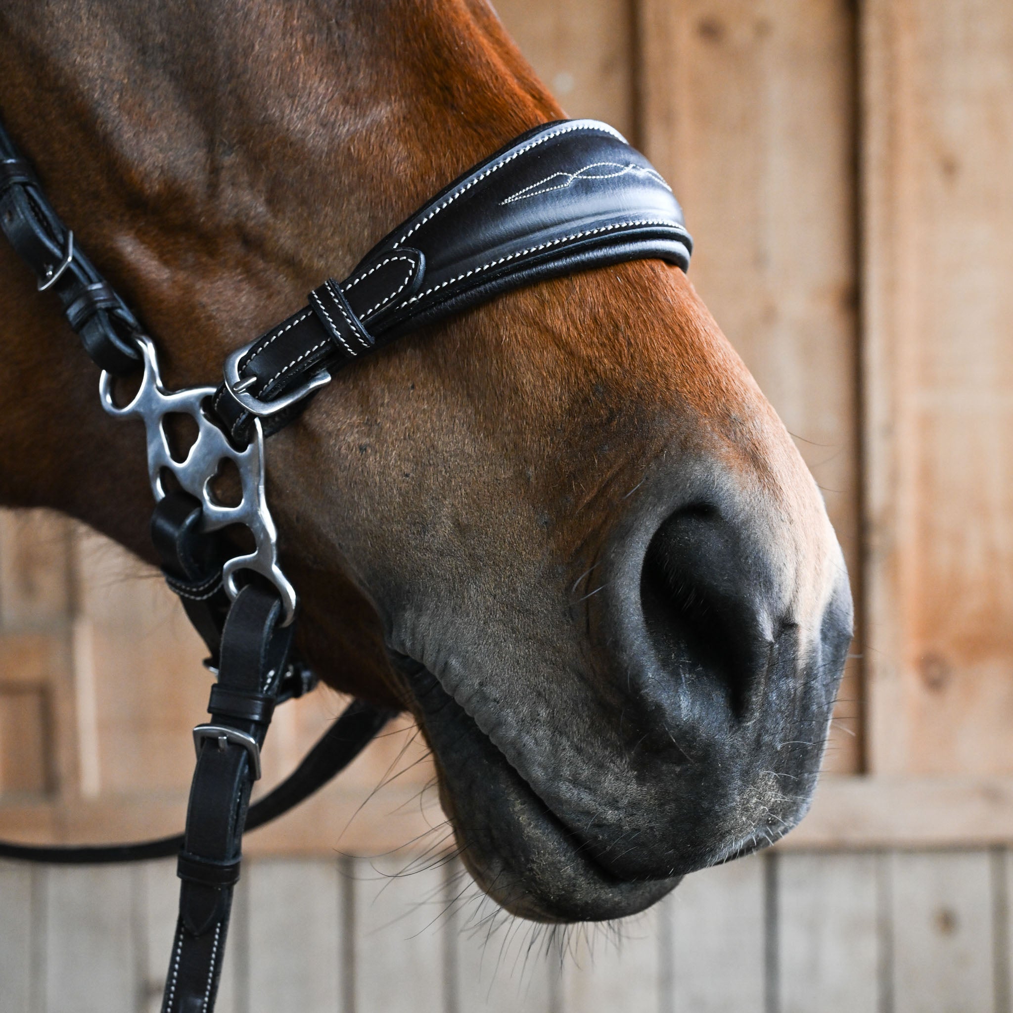 Hackamore Leathers - Fancy Stitch