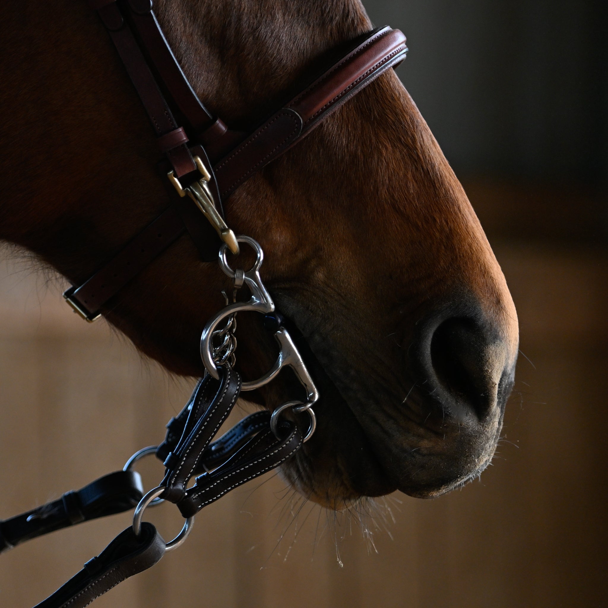 Adjustable Two-Rein Converter